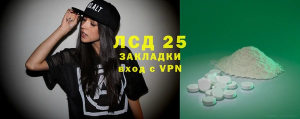 прущий лед Алзамай